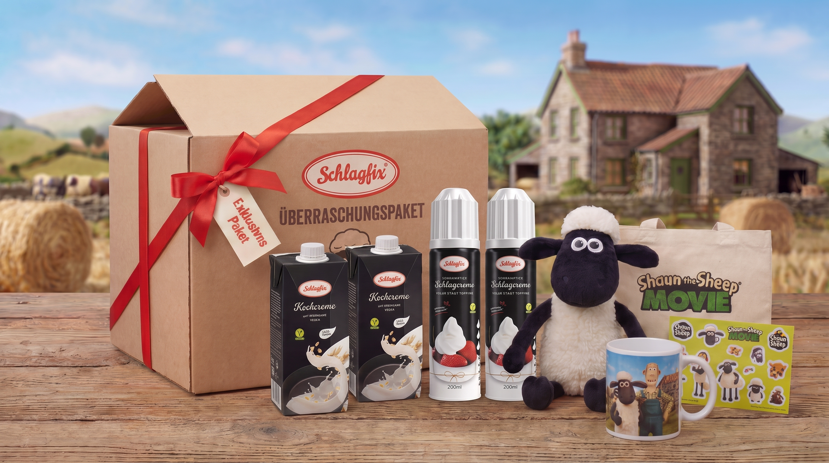 10x Schlagfix Überraschungspaket